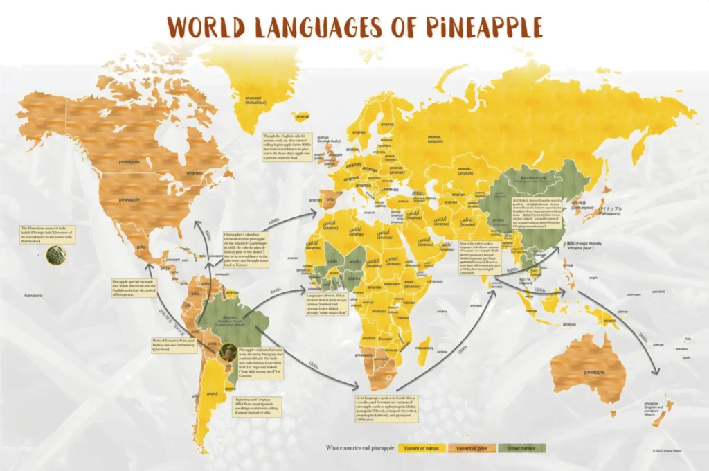 Pineapple language poster- gifts for language learners