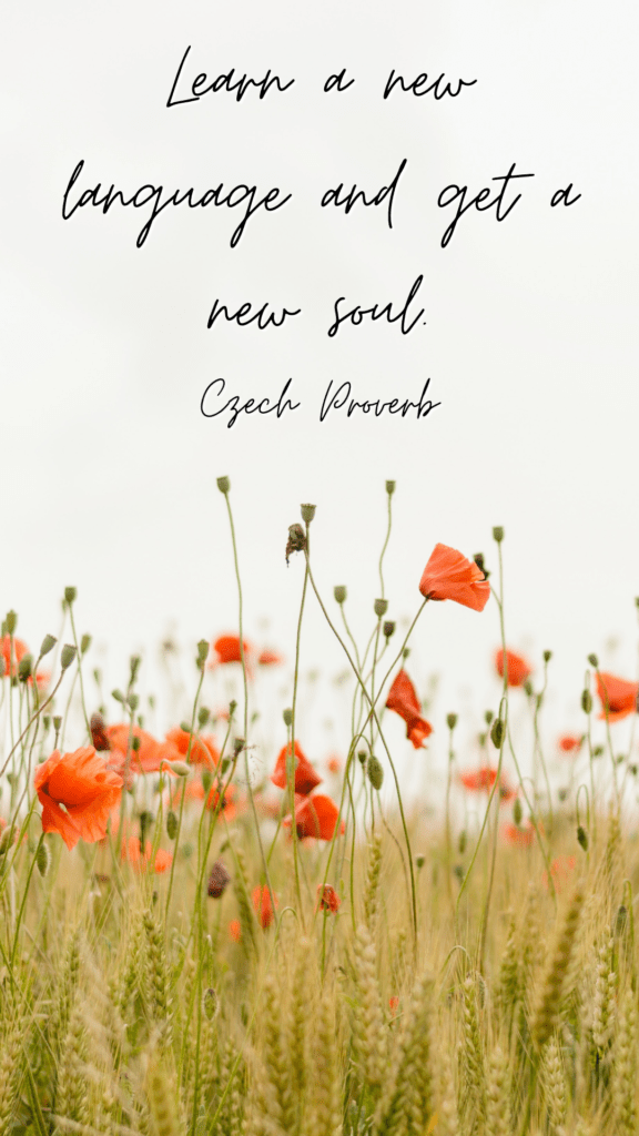 Learn a new language and get a new soul - Czech Proverb --- language learning quotes phone wallpapers