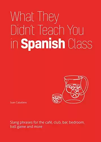 What They Didn't Teach You in Spanish Class (Slang Language Books)